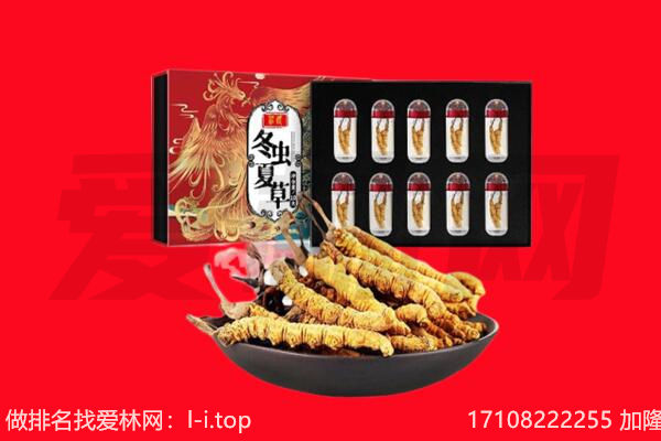 亳州涡阳县回收虫草.jpg